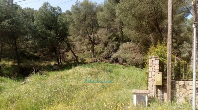 Córdoba - Córdoba - 3299m2