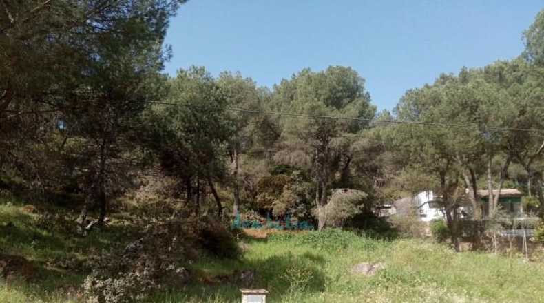 Córdoba - Córdoba - 3299m2