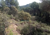 Городская земля под застройку на продажу у города Кордова Фото