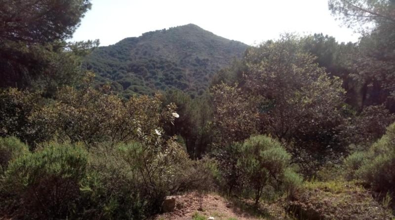Córdoba - Córdoba - 3056m2
