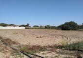 Terreny no urbanitzable en venda a la España, Chiclana de la Frontera, ref.: TR122937 foto
