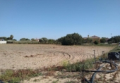 Terreny no urbanitzable en venda a la España, Chiclana de la Frontera, ref.: TR122937 foto