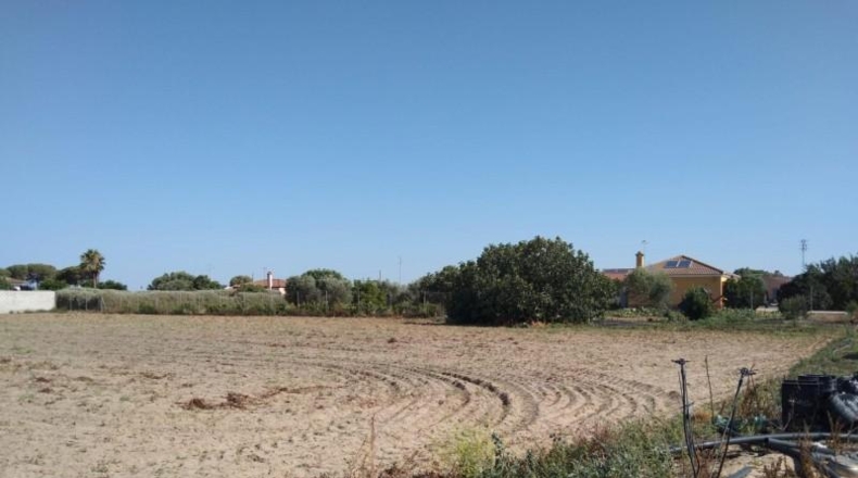 Cádiz - Chiclana de la Frontera - 3000m2