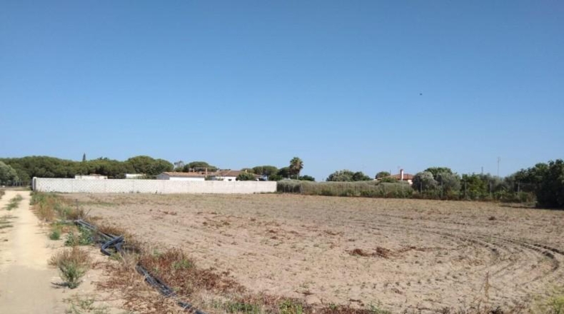 Cádiz - Chiclana de la Frontera - 3000m2