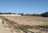 Terreny no urbanitzable en venda a la España, Chiclana de la Frontera, ref.: TR122937 foto