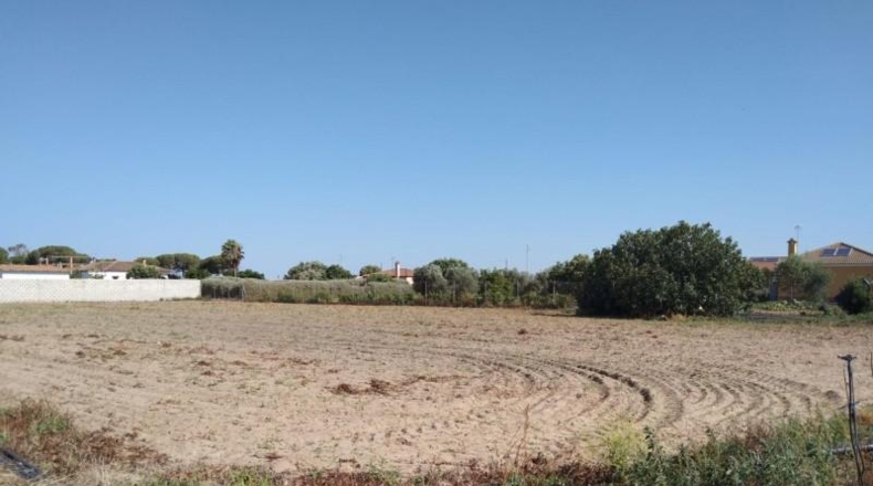 Cádiz - Chiclana de la Frontera - 3000m2