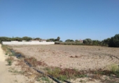 Terreny no urbanitzable en venda a la España, Chiclana de la Frontera, ref.: TR122937 foto