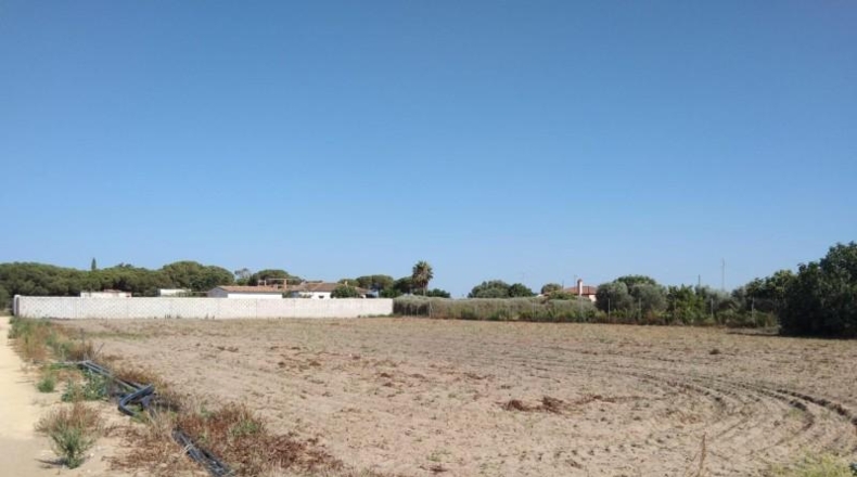 Cádiz - Chiclana de la Frontera - 3000m2