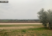 Suelo urbano en venta en la España, Salas Altas, ref: TR115144 foto