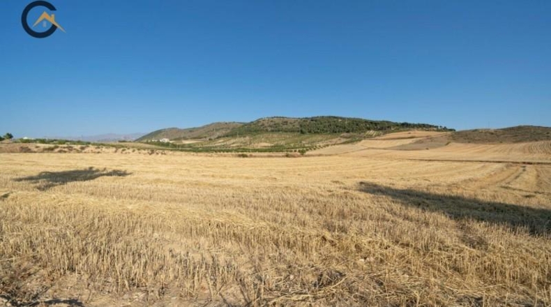 Granada - Dílar - 9575m2