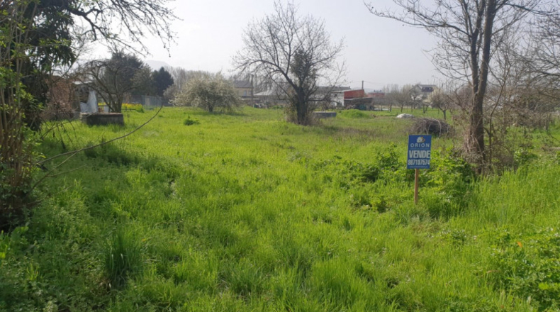 Leon - Camponaraya - 1700m2