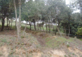 Parcel·la urbanitzable en venda a la España, Bigues, ref.: TR116546 foto