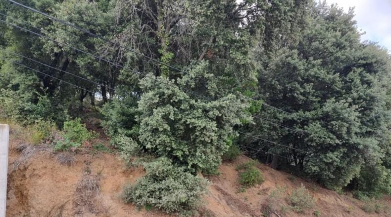 Barcelona - Sant Feliu de Codines - 1000m2