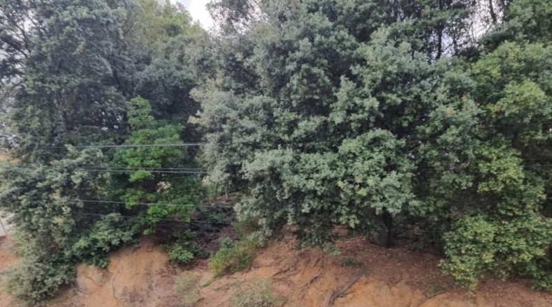 Barcelona - Sant Feliu de Codines - 1000m2