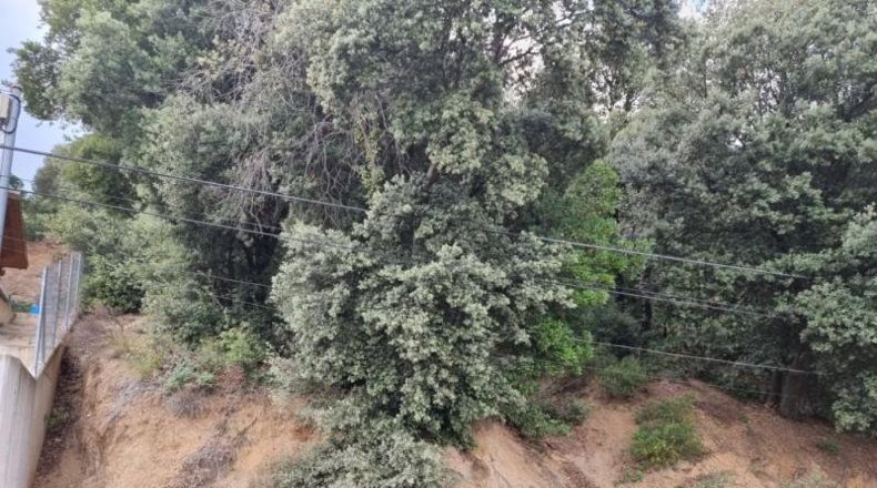 Barcelona - Sant Feliu de Codines - 1000m2