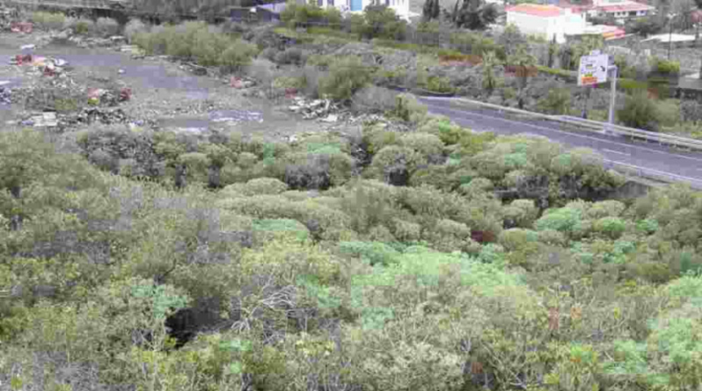 Santa Cruz de Tenerife - Icod de los Vinos - 6800m2
