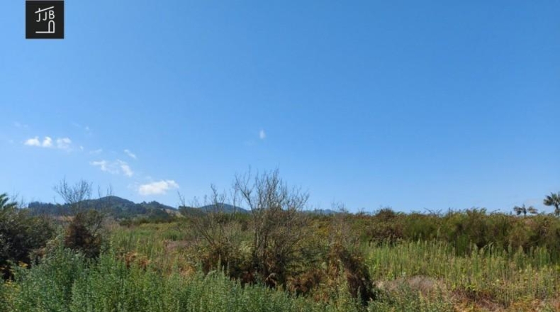 Santa Cruz de Tenerife - Tacoronte - 570m2