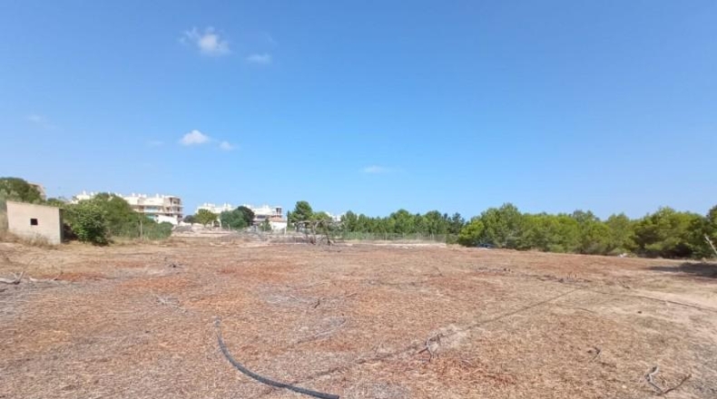 Múrcia - Cartagena - 1794m2