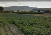 Terreny no urbanitzable en venda a la España, Múrcia, ref.: TR120323 foto