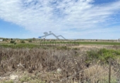 Terreny no urbanitzable en venda a la España, Sanlúcar de Barrameda, ref.: TR120641 foto