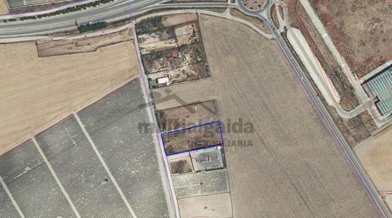 Cádiz - Sanlúcar de Barrameda - 5000m2