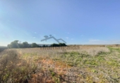 Terreny no urbanitzable en venda a la España, Sanlúcar de Barrameda, ref.: TR120641 foto