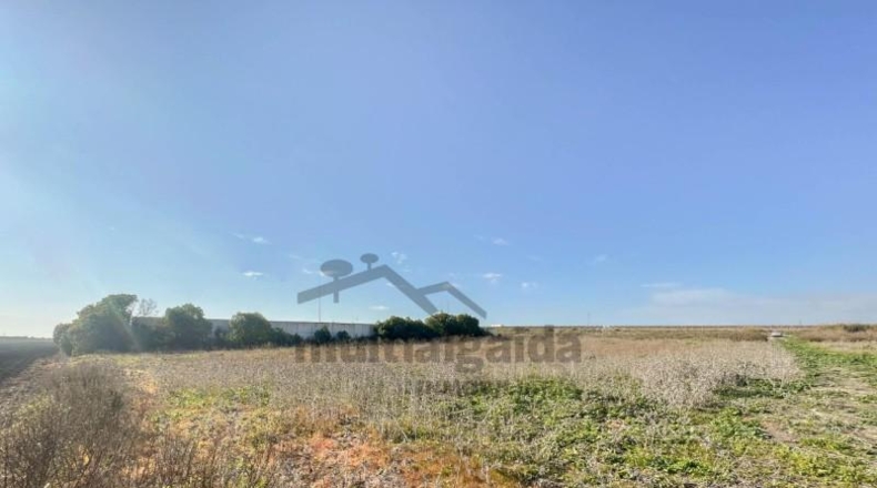 Cádiz - Sanlúcar de Barrameda - 5000m2