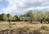 Terreno no urbanizable en venta en la España, el Perelló, ref: TR123291 foto