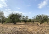 Terreno no urbanizable en venta en la España, el Perelló, ref: TR123291 foto
