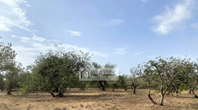 Tarragona - el Perelló - 31922m2