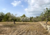 Terreno no urbanizable en venta en la España, el Perelló, ref: TR123291 foto