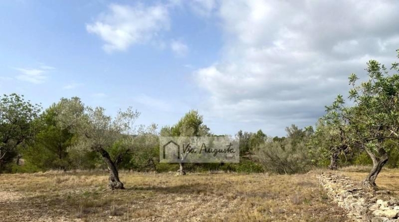 Tarragona - el Perelló - 31922m2