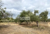 Terreno no urbanizable en venta en la España, el Perelló, ref: TR123291 foto