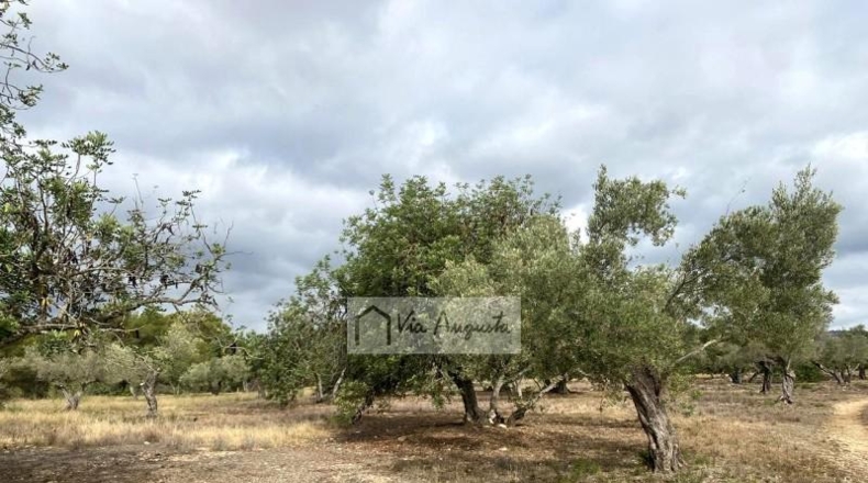 Tarragona - el Perelló - 31922m2