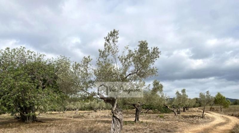 Tarragona - el Perelló - 31922m2