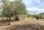 Terreno no urbanizable en venta en la España, el Perelló, ref: TR123291 foto
