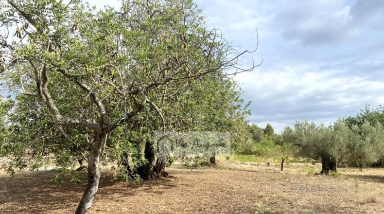 Tarragona - el Perelló - 31922m2