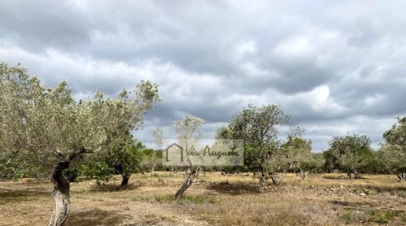Tarragona - el Perelló - 31922m2