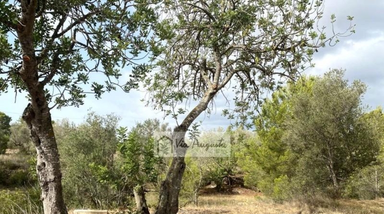 Tarragona - el Perelló - 31922m2