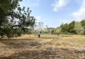 Terreno no urbanizable en venta en la España, el Perelló, ref: TR123291 foto