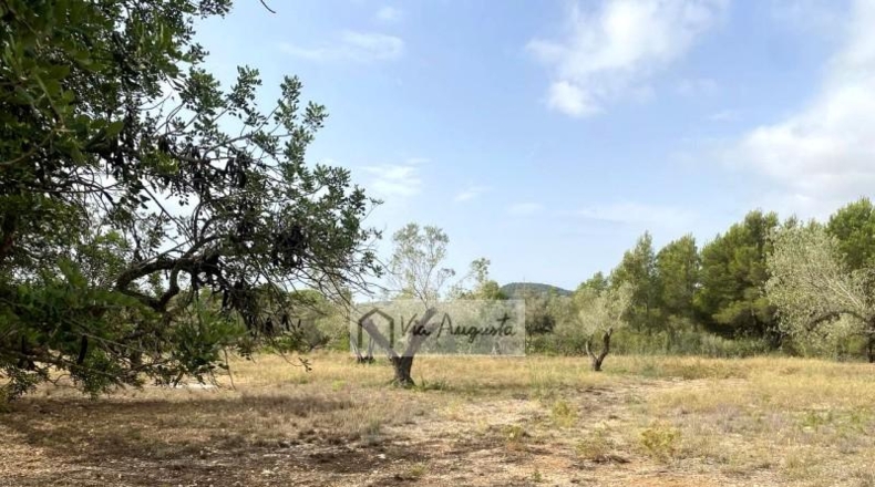 Tarragona - el Perelló - 31922m2