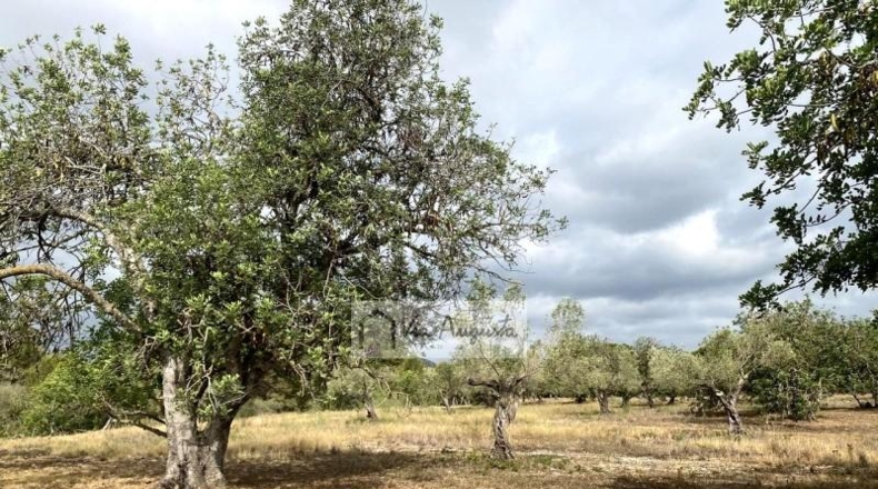 Tarragona - el Perelló - 31922m2