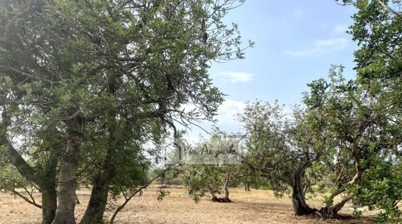 Tarragona - el Perelló - 31922m2