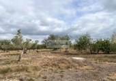 Terreno no urbanizable en venta en la España, el Perelló, ref: TR123291 foto