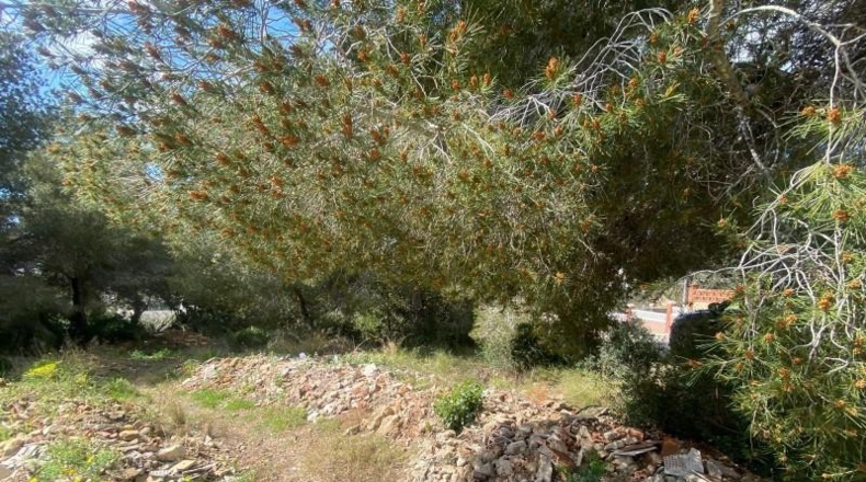 Tarragona - Calafell - 713m2