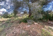 Casa con terreno en venta en la España, Calafell, ref: TR289381 foto