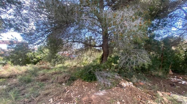 Tarragona - Calafell - 713m2