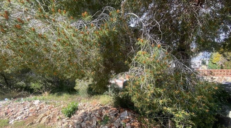 Tarragona - Calafell - 713m2