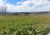 Suelo urbano en venta en la España, Torrecaballeros, ref: TR288638 foto