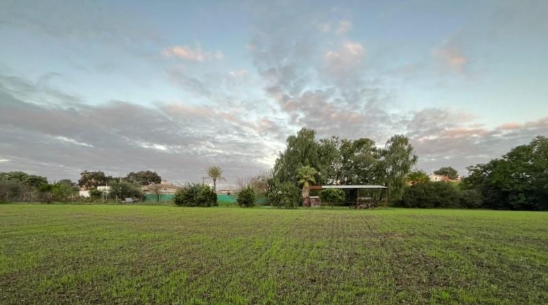 Cádiz - Jerez de la Frontera - 5851m2
